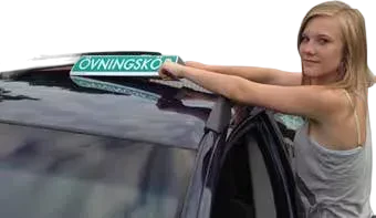 Miniatyrbild 1